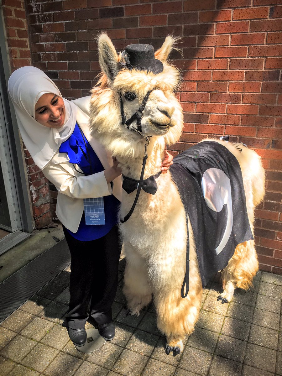 yasmina_anwar's tweet image. I had much fun with #commaLlama @CSVConference! #csvconf