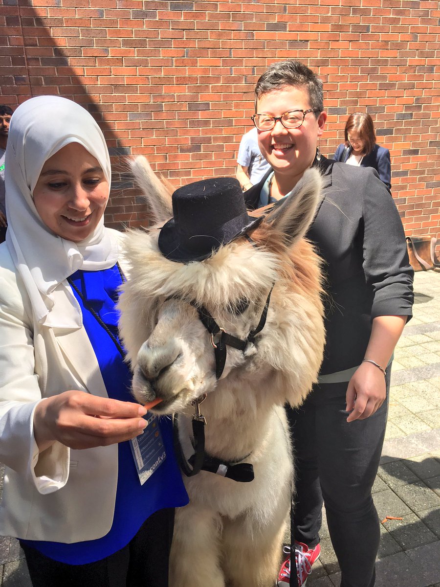 yasmina_anwar's tweet image. I had much fun with #commaLlama @CSVConference! #csvconf