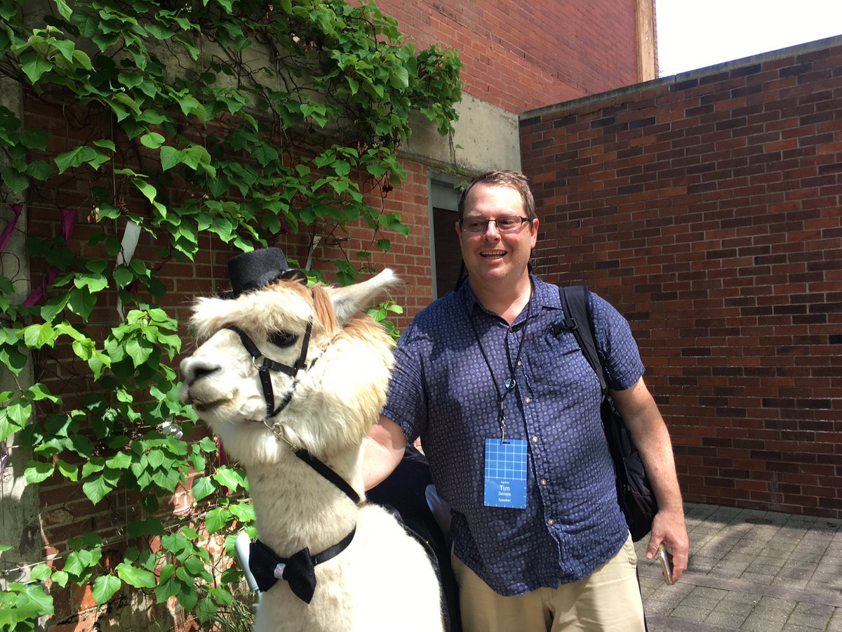 elthenerd's tweet image. @jt14den meets a #commallama at #csvconf