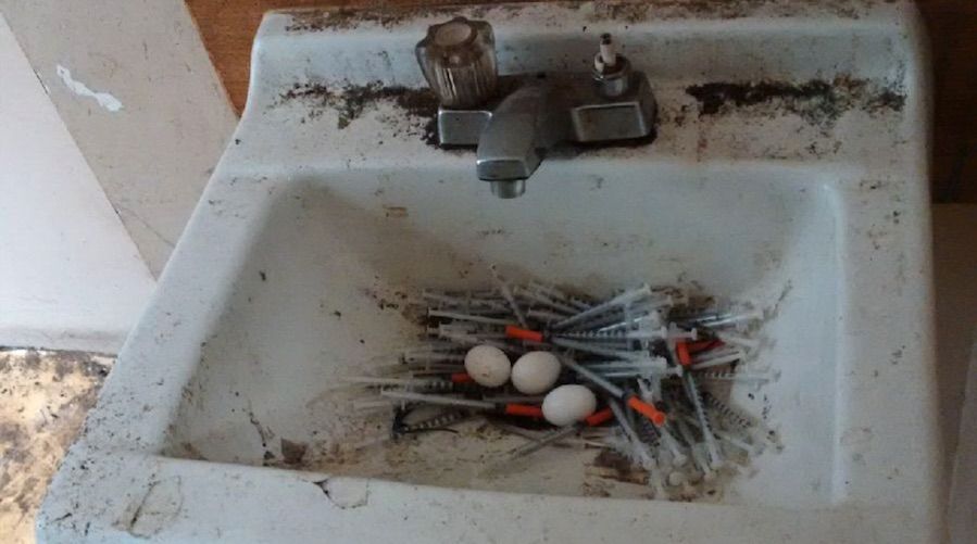 This graphic photo of a bird's nest made out of needles shows the sad reality of the opioid crisis in #Vancouver: ow.ly/xvjt30bpxRL