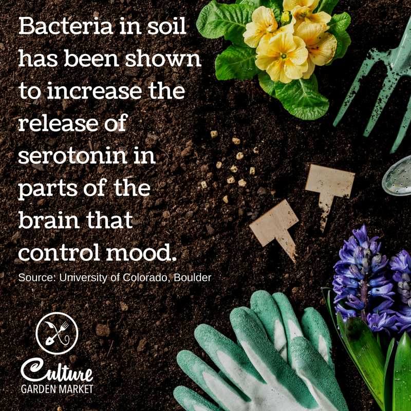 TheCultureStore's tweet photo. Today is #nationalgardenmeditationday 🌱🌻🥕 https://t.co/QAl9oLa6Dt