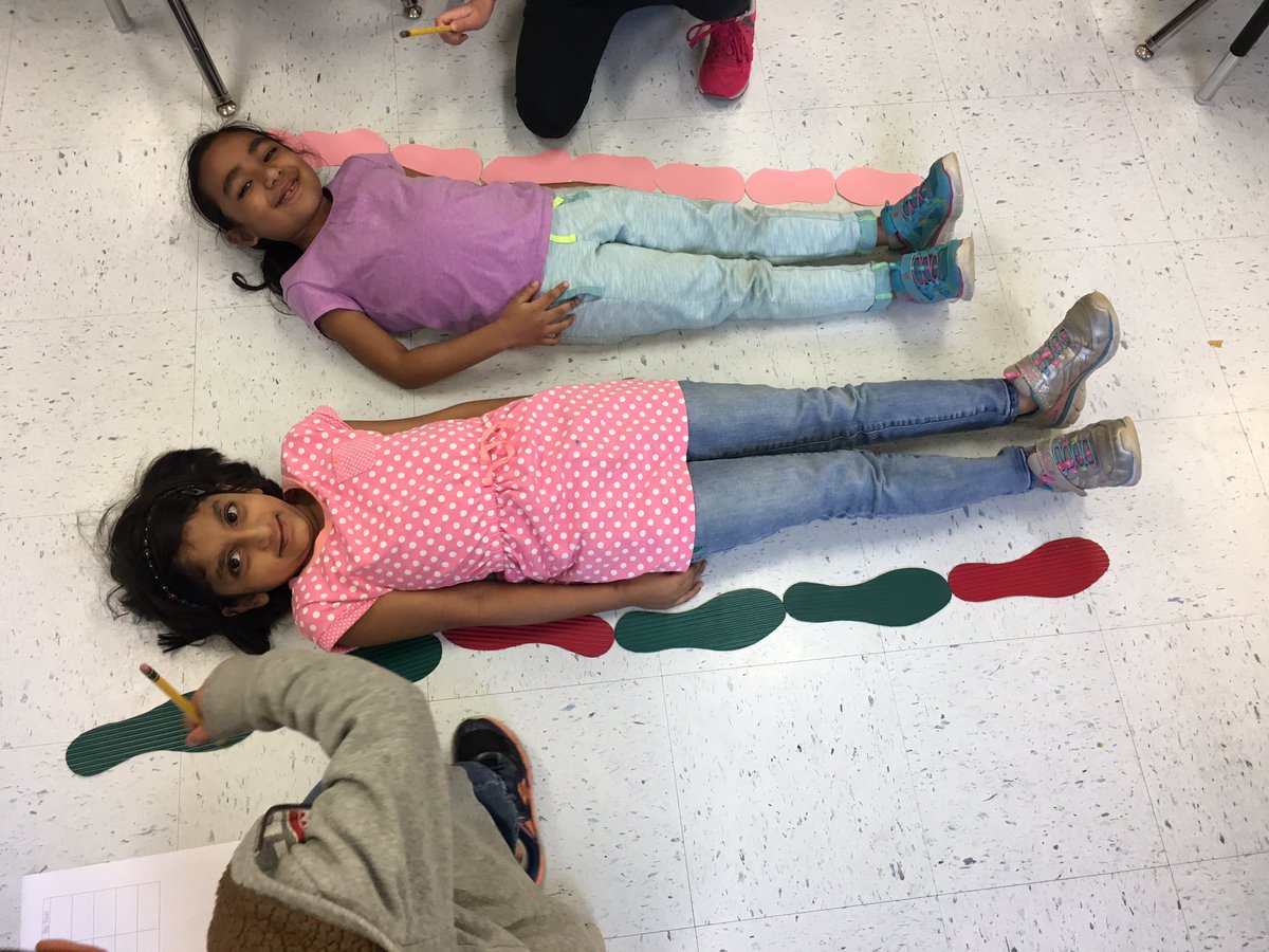 Lindsey Schaller tweet media