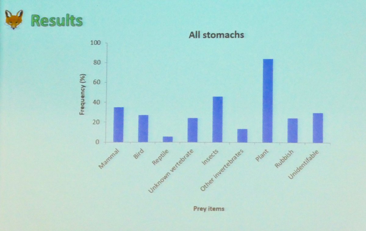 Dr John Martin (@wingtags) on Twitter photo Yes, foxes occur in urban areas
Ben <a href="/westsyduhie/">Western Sydney U - HIE</a> MSc student presenting his ongoing research on their diet
#avpc2017
<a href="/AnimalEcoLab/">Animal Ecology Lab</a> Yes, foxes occur in urban areas
Ben <a href="/westsyduhie/">Western Sydney U - HIE</a> MSc student presenting his ongoing research on their diet
#avpc2017
<a href="/AnimalEcoLab/">Animal Ecology Lab</a>
