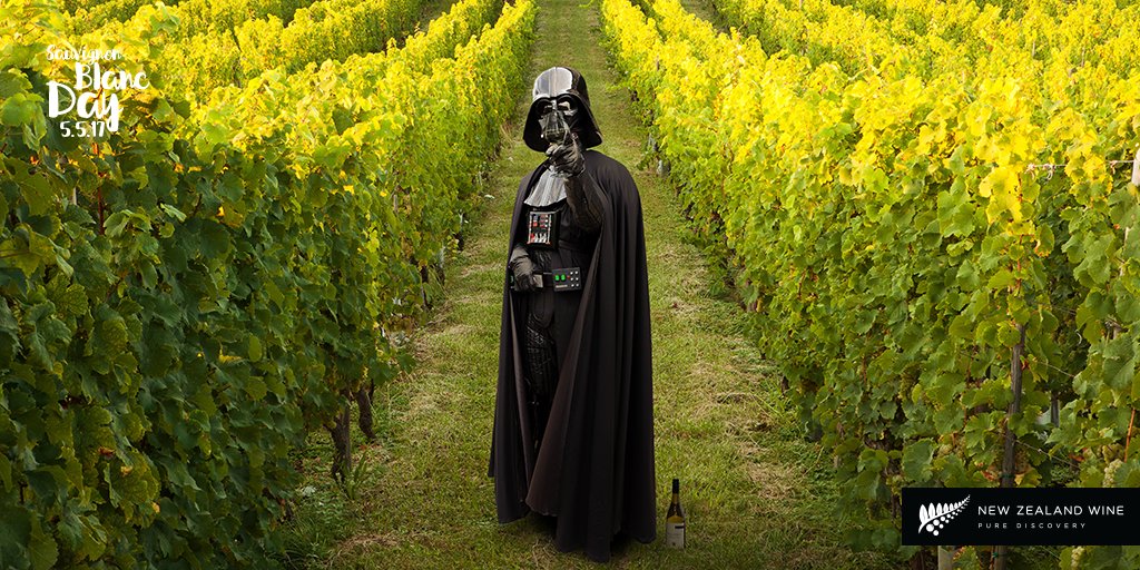 May the 4th be with you tomorrow for #sauvblanc day! 👍 #nzwine #sauvblancday #starwarsday