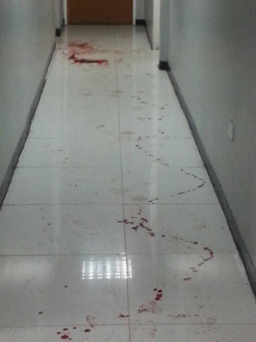 Ver imagen en Twitter Ver imagen en Twitter