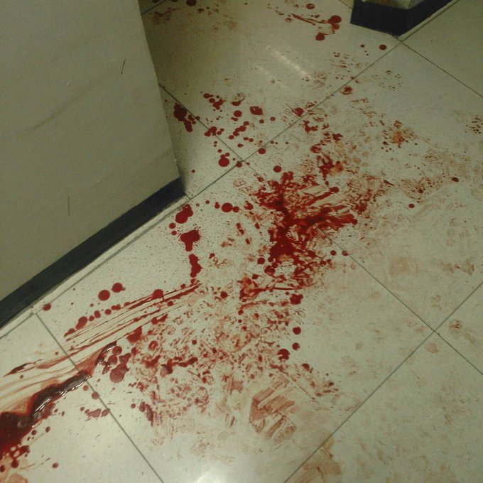 Ver imagen en Twitter Ver imagen en Twitter