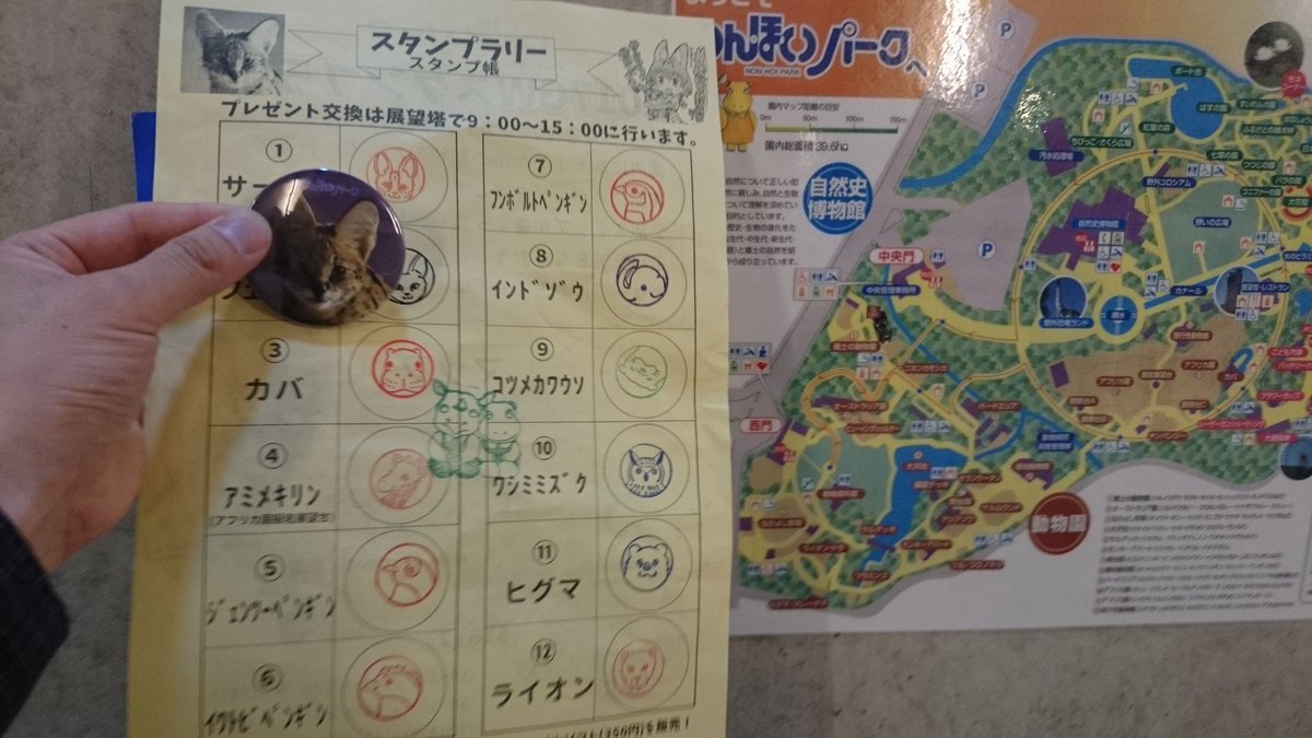 鋼人 実は今遊園地に居たりします W 鋼人 実は今遊園地に居たりします W