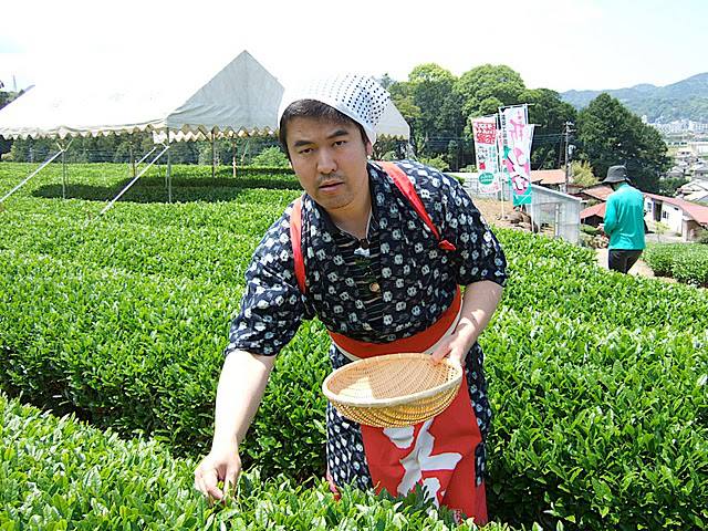 サワグチ作曲家 Nhkみんなのうた 夏も近づく八十八夜 茶摘みの季節ですね 茶娘の写真をどうぞ 茶娘 川根茶 静岡 茶摘み 富士山 給食当番 静岡新聞 Japanbeauty