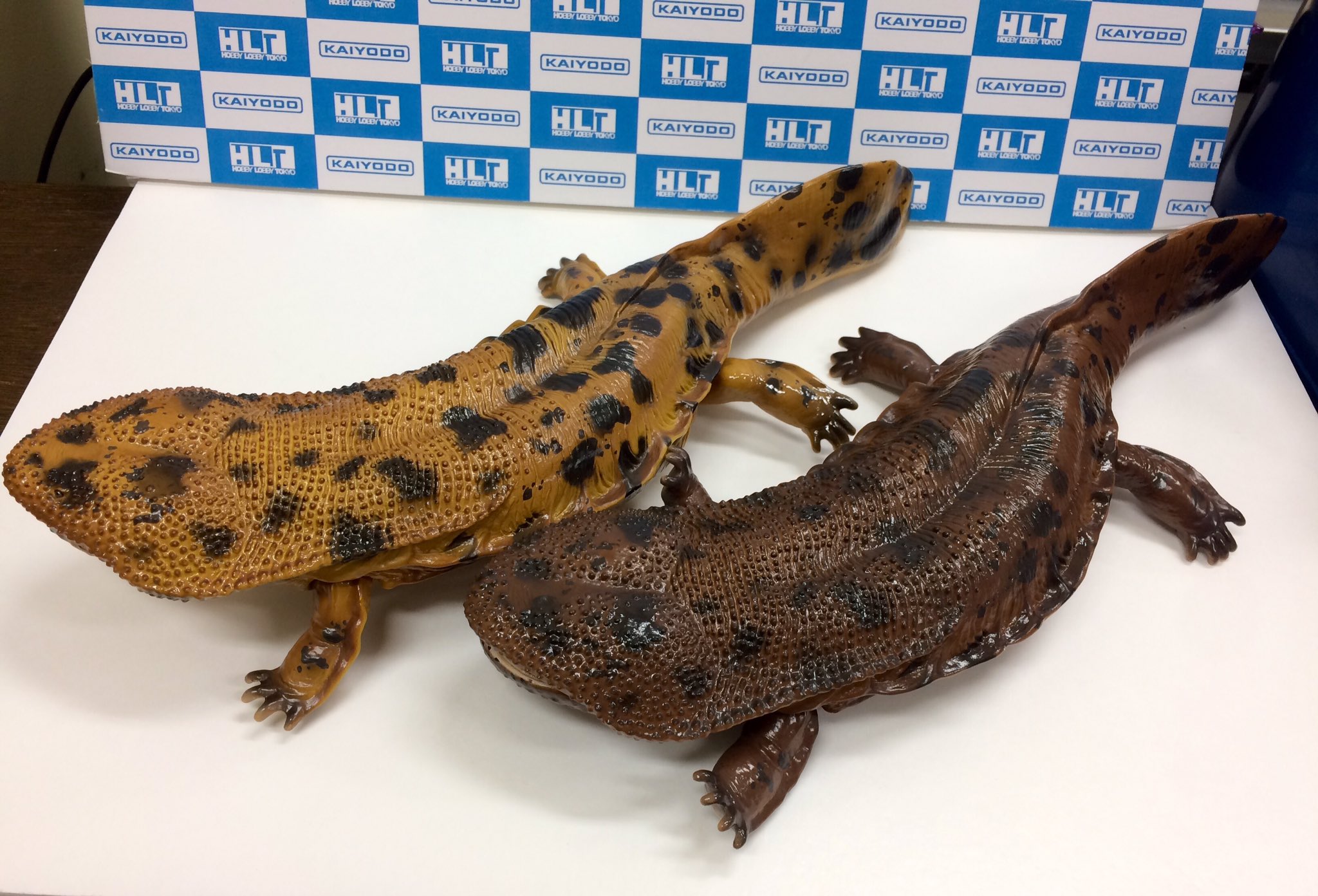 海洋堂 おもちゃ ソフビトイボックス オオサンショウウオ