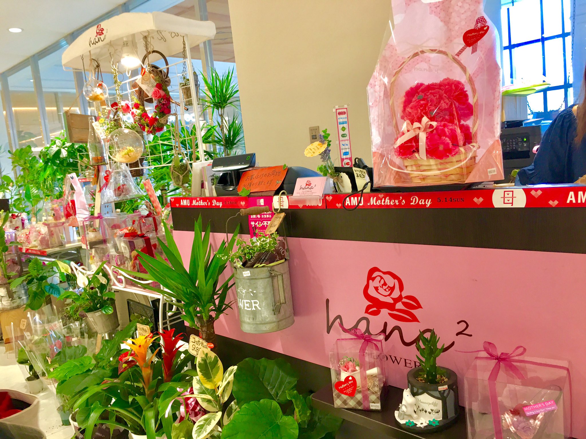Hana2 アミュプラザおおいた店 Hamuplaza Twitter