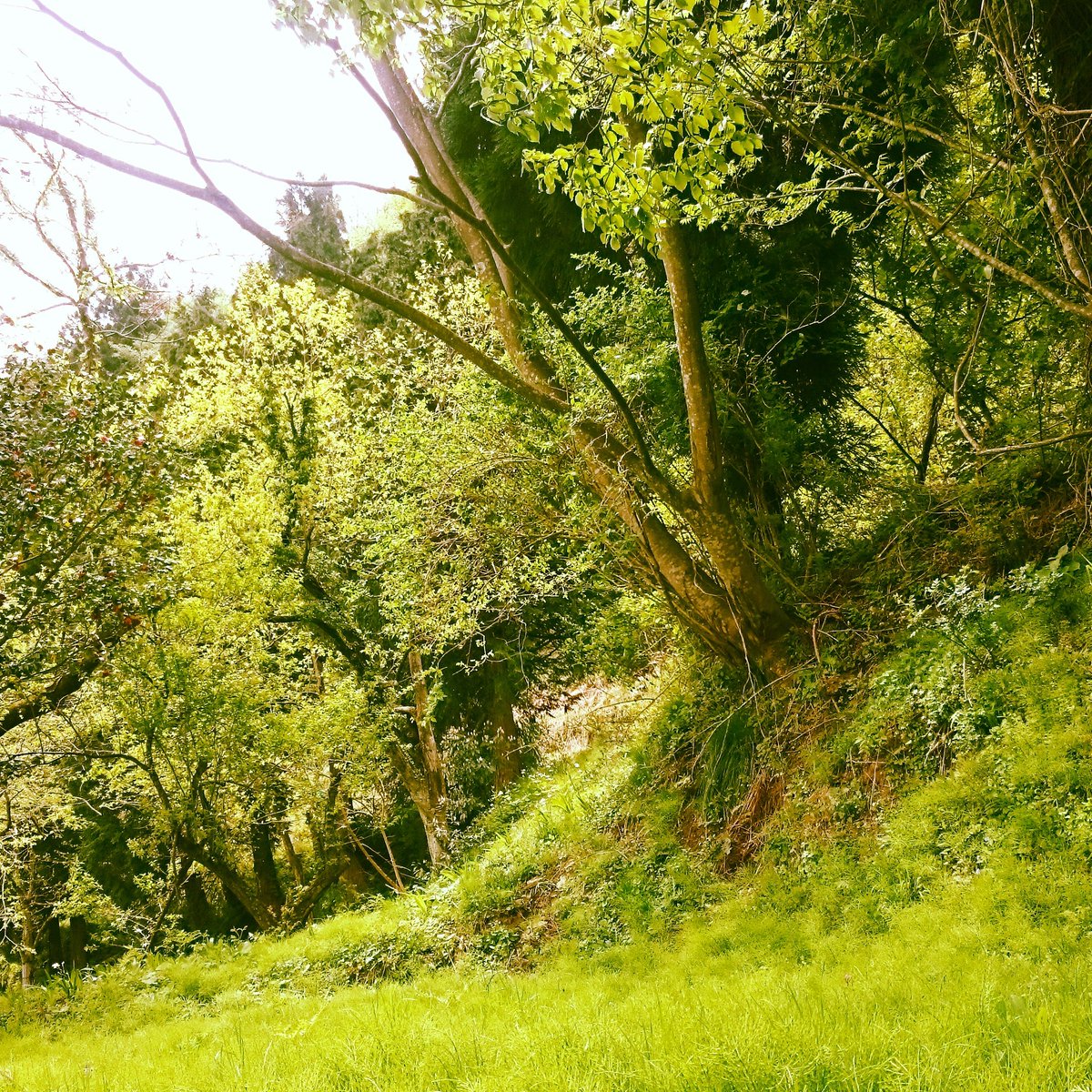 ヤスス En Twitter 田舎の山の中を好き勝手散策させてもらったけど 大自然の中でやったことが 森林パワーを信じてfgoガチャを回す 大自然の写真をインスタグラムで加工する 流木集めてメルカリの相場をチェックする で なんか田舎遊びにしては前衛的な ヤスス En Twitter 田舎の山の中を好き勝手散策させてもらったけど 大自然の中でやったことが 森林パワーを信じてfgoガチャを回す 大自然の写真をインスタグラムで加工する 流木集めてメルカリの相場をチェックする で なんか田舎遊びにしては前衛的な