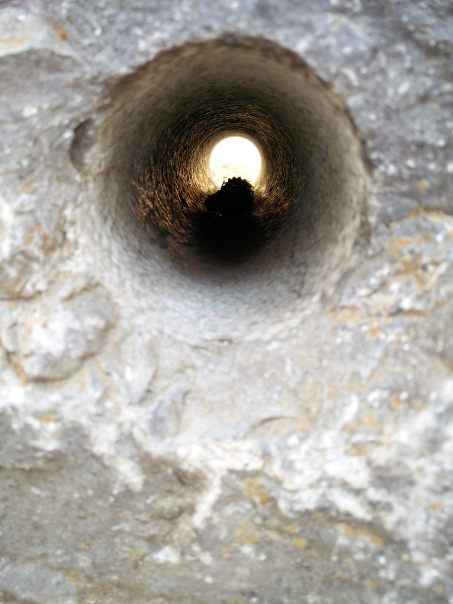 Hidey holes in hidden places 
#TwinLakes #depthperception #natureworshipper