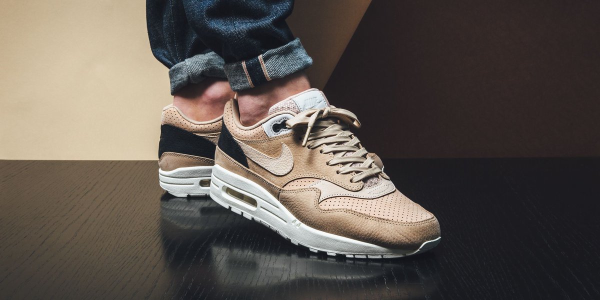 nike air max 1 pinnacle mushroom