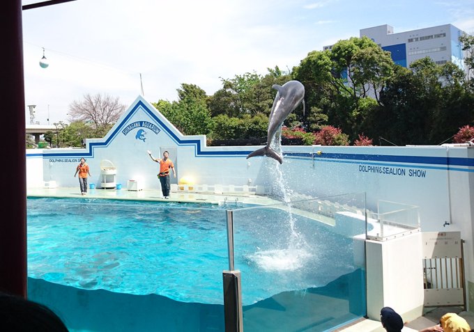 品川水族館 しな水 の混雑状況やイルカショー 駐車場の混み具合 混雑状況 待ち時間 割引情報を配信するブログ