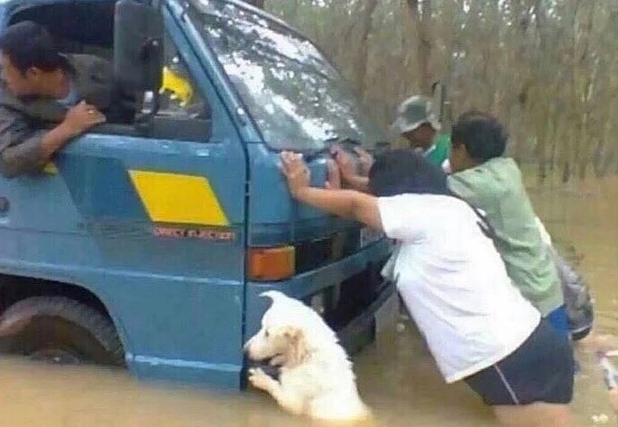 so_mkb's tweet image. quand un daron rebeu tombe en panne, tout le monde pousse sinon il s'énerve facilement