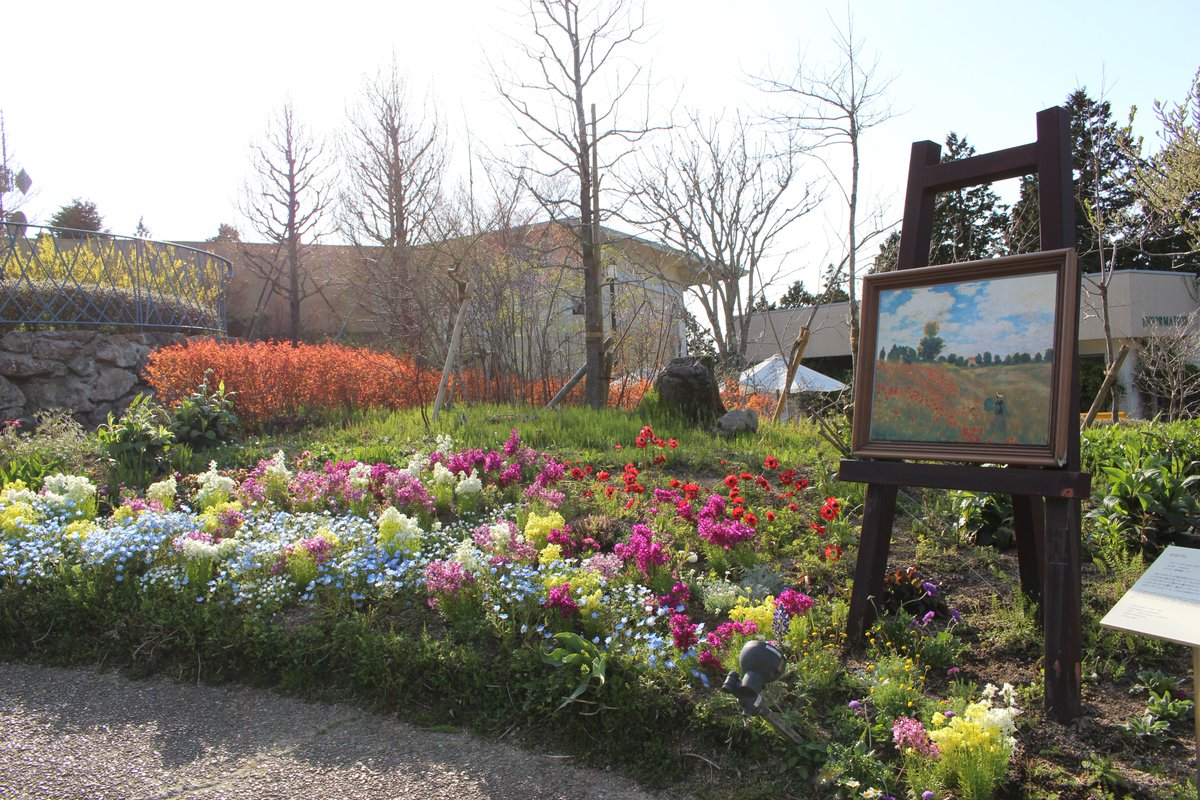 ガーデンミュージアム比叡 京都 花 比叡山 春 のぽかぽか陽気と 庭園 の春の彩り 夕陽の光の中 花たちはお昼間とはまた少し 趣き や 色 が変わり散策がとても楽しいです Kyoto 比叡山 ガーデンミュージアム比叡
