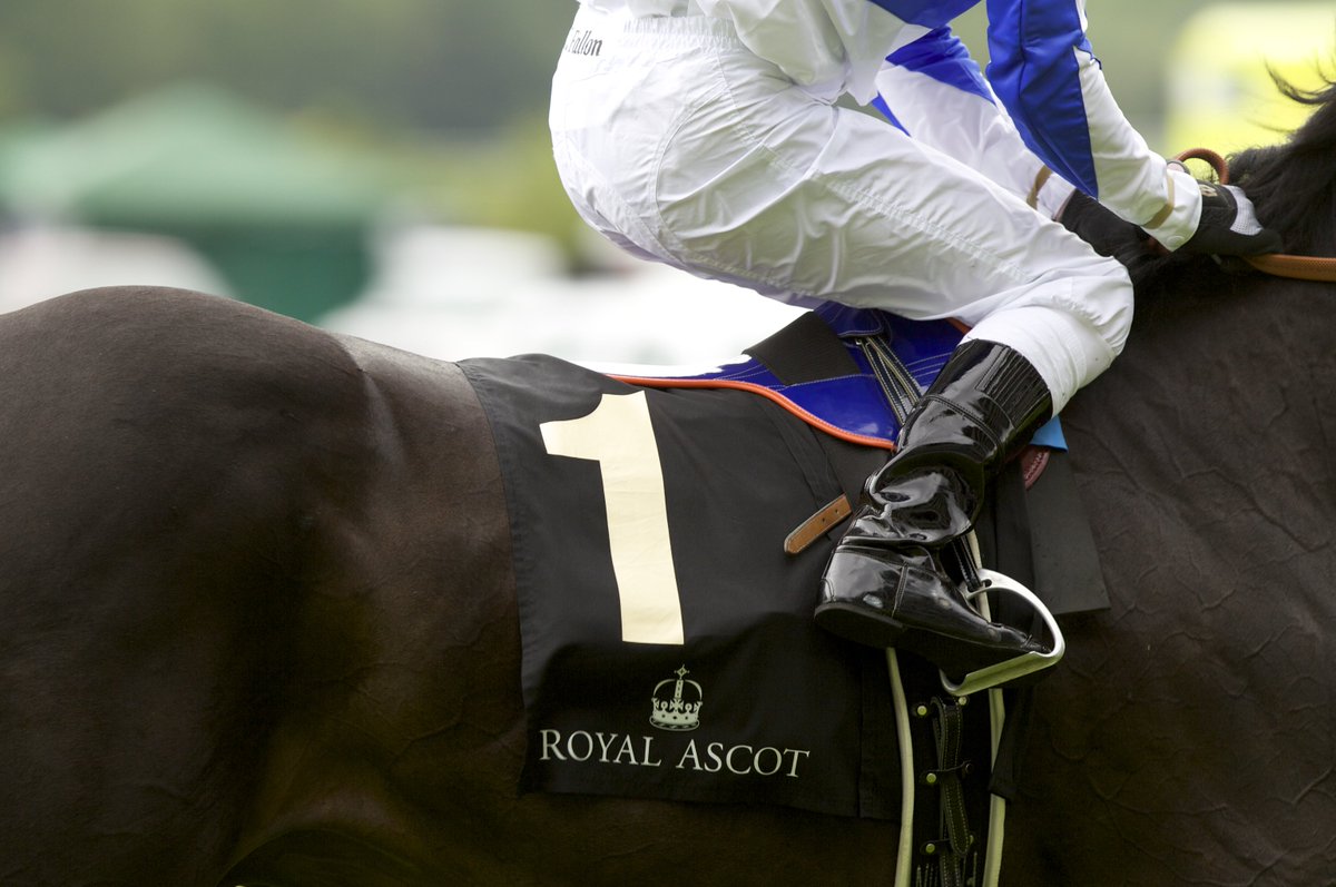 Did you know that we're only 5 mints from Ascot Racecourse? Enjoy Royal horse racing, we'll take care of the rest ow.ly/rDDT30aNs5F