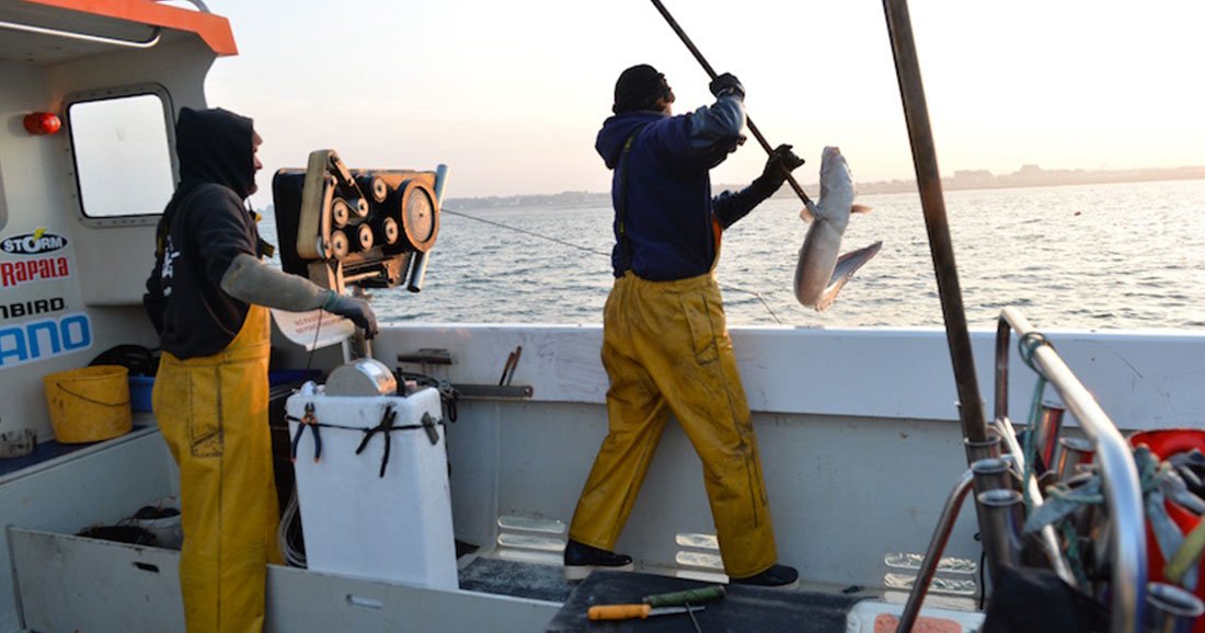 Ce Français a eu une idée simple mais terriblement efficace pour combattre la surpêche
dailygeekshow.com/?p=438715