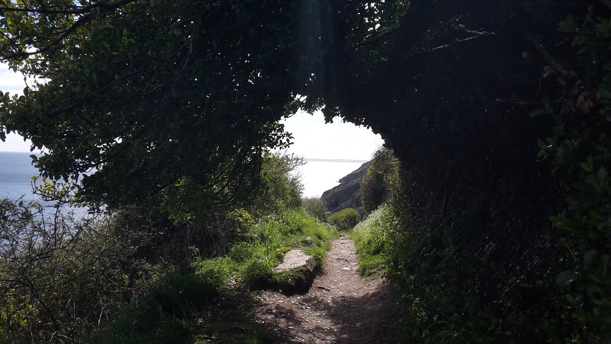 Enjoyed staying @GraniteHenge but time to go. The coastal walk to Polperro worth it! #lovecornwall #cornwall #Polperro #ilovelooe #walking