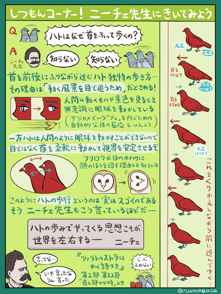 街を歩く哲学的タフガイ「ドバト」の図解です。カワラバトとも呼ばれる身近な鳥の代表格であり、めったやたらに数が多いせいで邪魔もの扱いされがちなハトでもありますが、その生態や行動からは意外な奥深さを感じ取れます。今度みかけたら、ぜひ近寄って観察してみてください。たぶん逃げないので…。