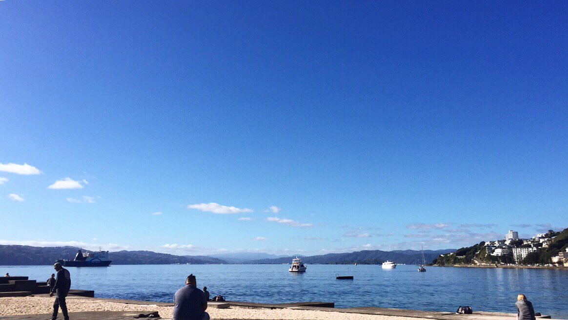 Cheyns_k's tweet photo. A nice day for @ghostfishing &amp; @41_south_crew to get 310kgs of rubbish out of the harbour #Wellington #orientalbay https://t.co/4cTj1KpHQG