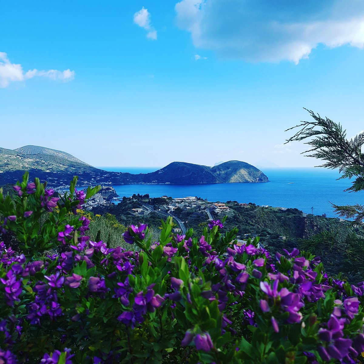 Simona Loizzo (@simonaloizzo) on Twitter photo 