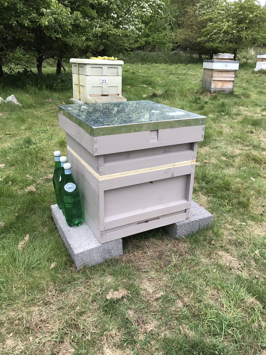 Alex_CLGC's tweet photo. Today our colony of bees were hived, very exciting #savethebees #honeybees #beesarethefuture 🐝 https://t.co/2Kq5PiBzWr