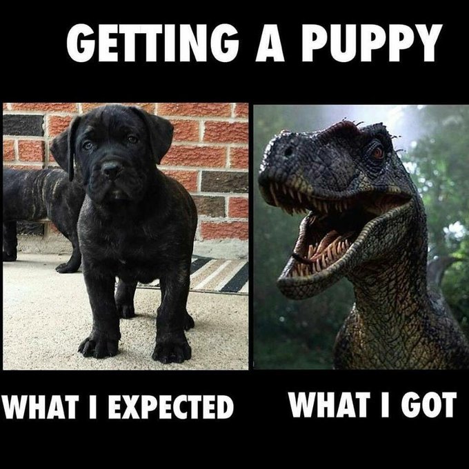 Who else thinks of @AmberLily on this one? https://t.co/Gzl910YYHt