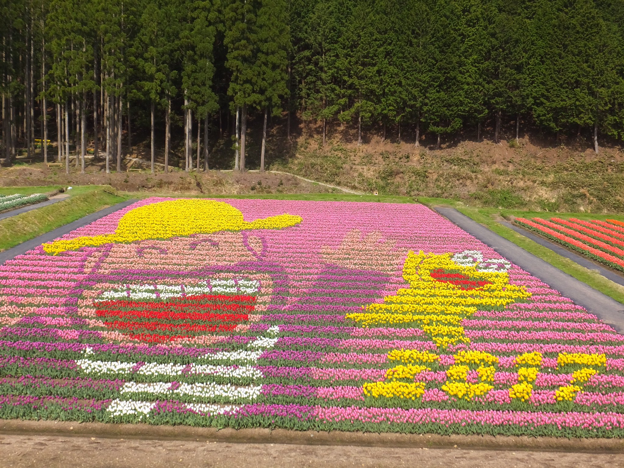 ブリオッシュ Spv7nooqifjpexg Twitter