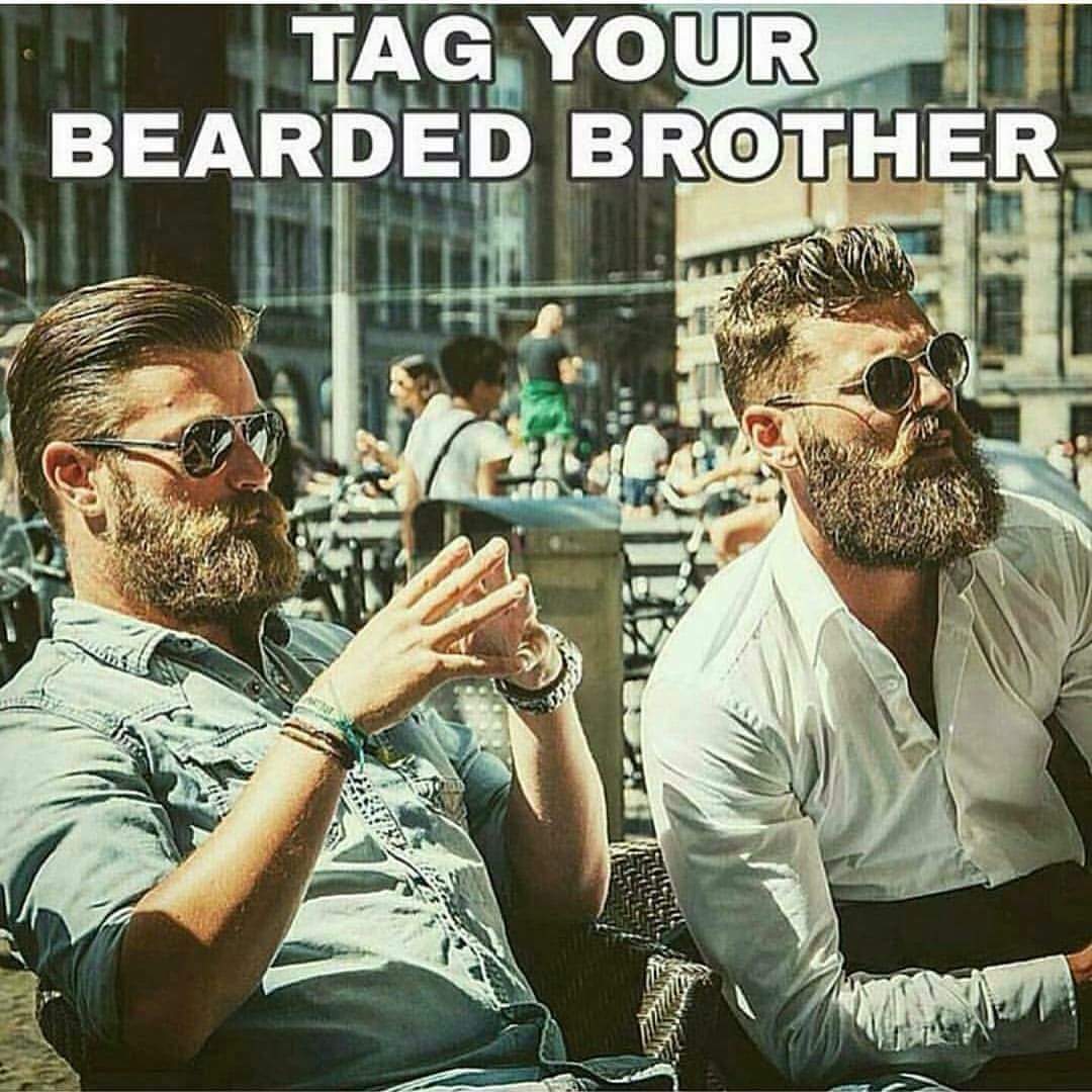 Sicomoro123's tweet photo. Tag your bearbed brother. #bearbed #barba @HipsterBeardC https://t.co/1eeInwl89f