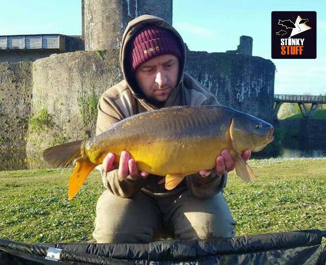 Robert Gru Kerr has landed on this trio of Carp on our #StinkyStuff
Get on it.
#thecrazycarper  
#teamprobaitsuk  
#stinkystuff
