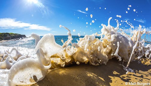 OurOcean's tweet image. Happy #EarthDay