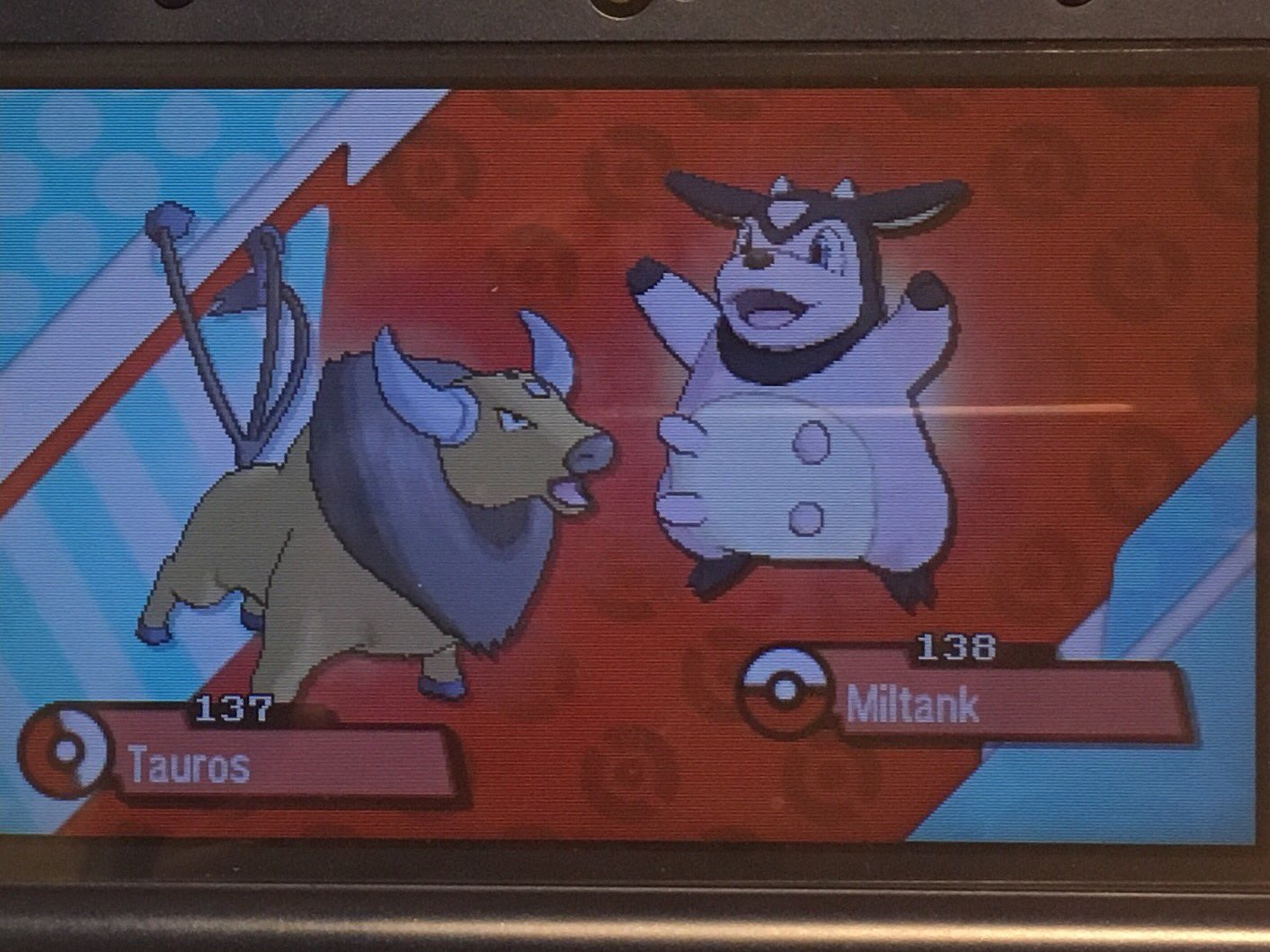 きい ハクタイの森 ケンタロスとミルタンクって同じページなのね そろそろ共通の進化前ポケモンとか出てきそうｗ T Co Ojq7kofyss Twitter