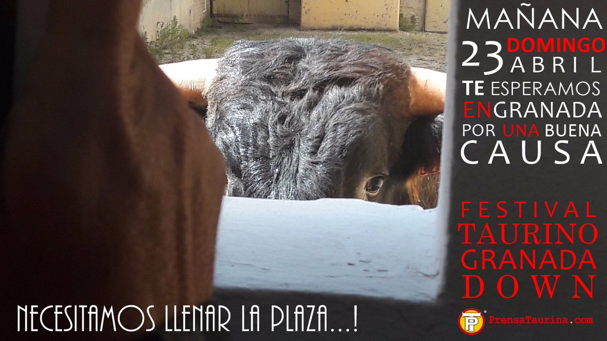 Necesitamos llenar la plaza.... y tenemos una buena causa, te esperamos mañana en Granada #ftgranadadown