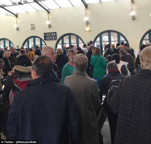 View image on Twitter