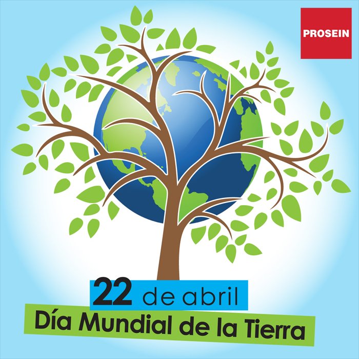 Este día de la Tierra te invitamos a elegir materiales elaborados con conciencia ecológica. ¡Visita nuestra tienda y conócelos!