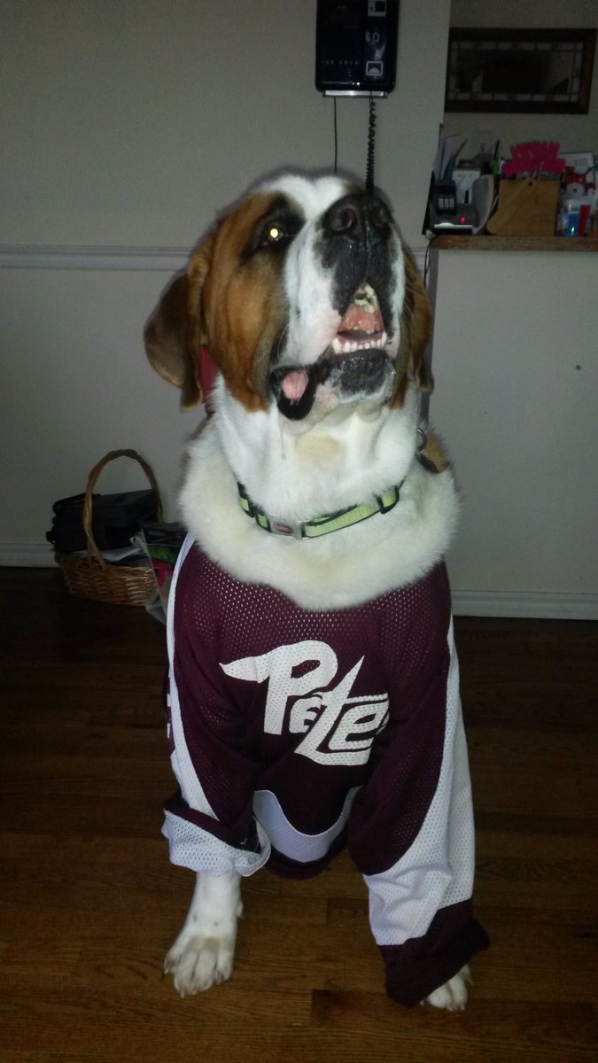 chooseoptionb's tweet image. @Ptbo_Canada @PetesOHLhockey @PetesCommunity Its Saturday game day.Time to wear Maroon&amp;amp;White. Rogers' look-a-like is doing it. How'bout you?