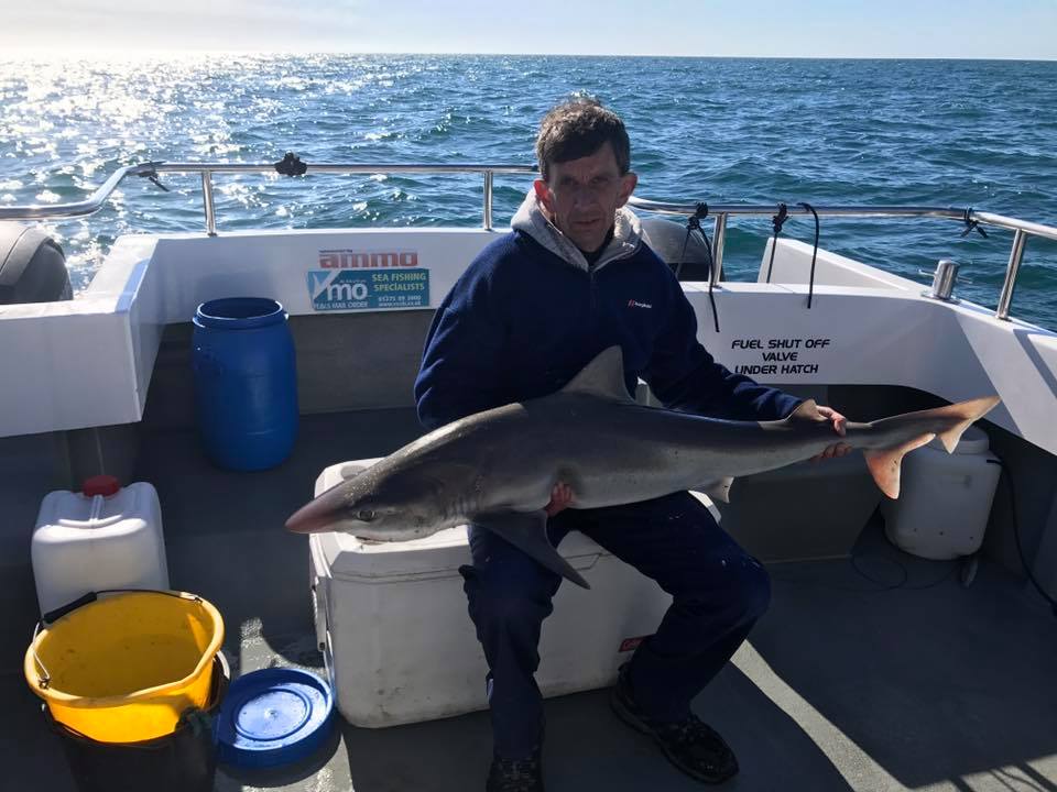 Wayne Thomas tweet media