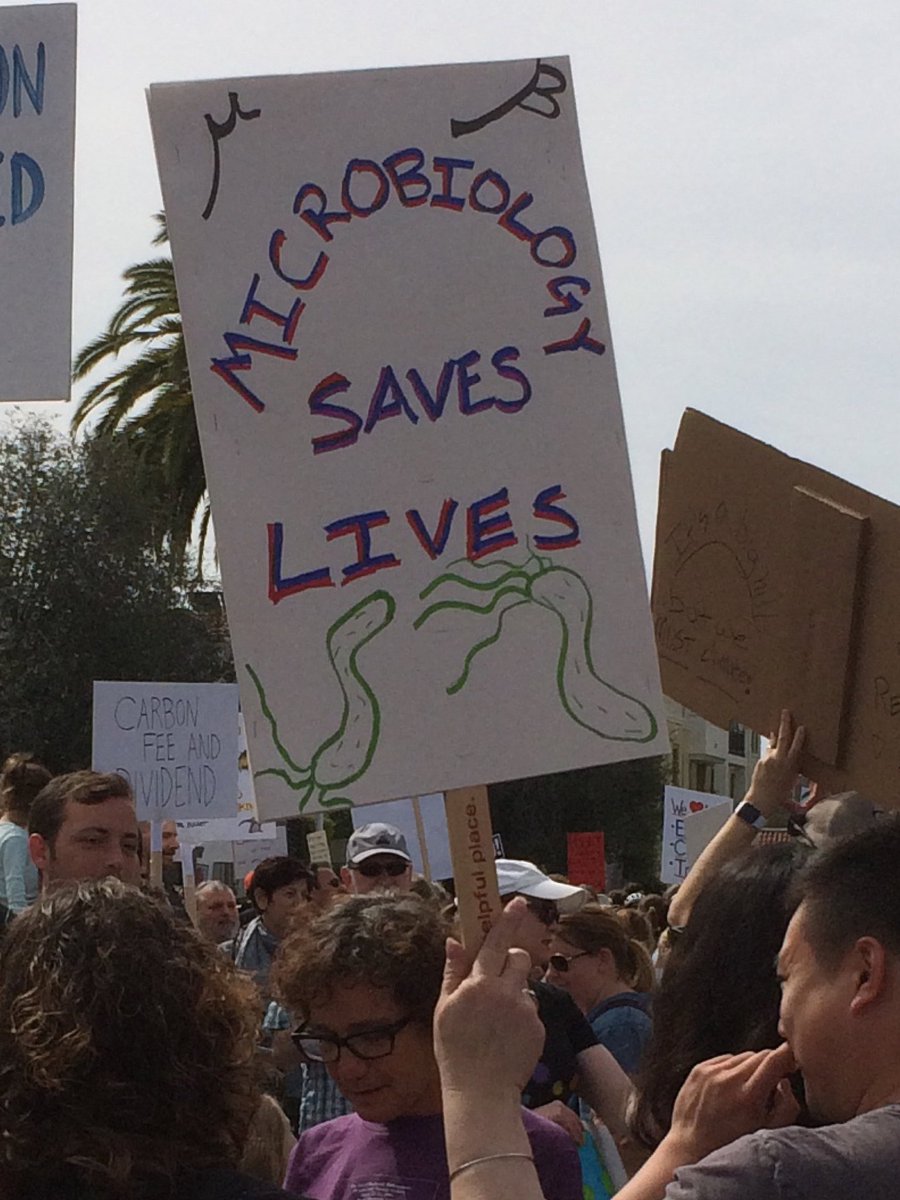 cat8mouse's tweet image. 