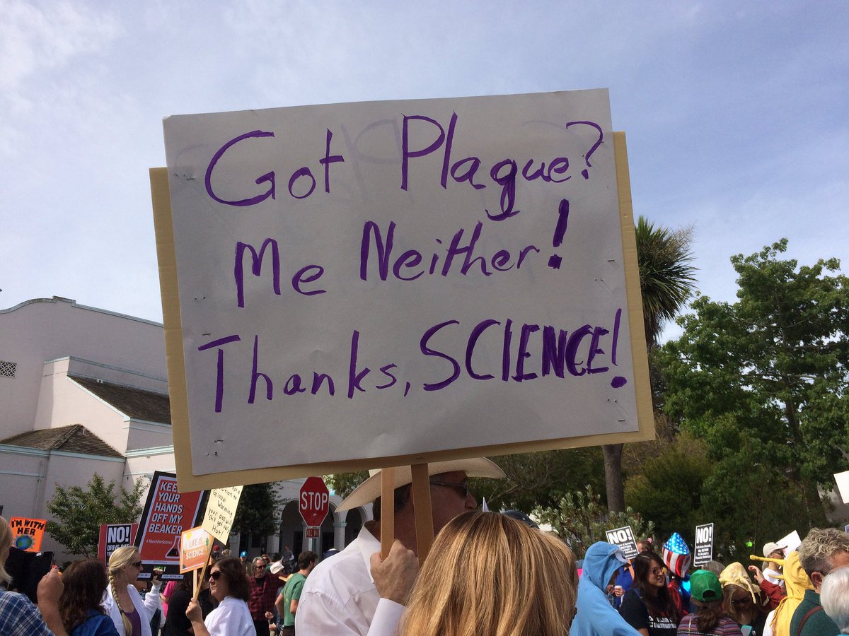 cat8mouse's tweet image. 