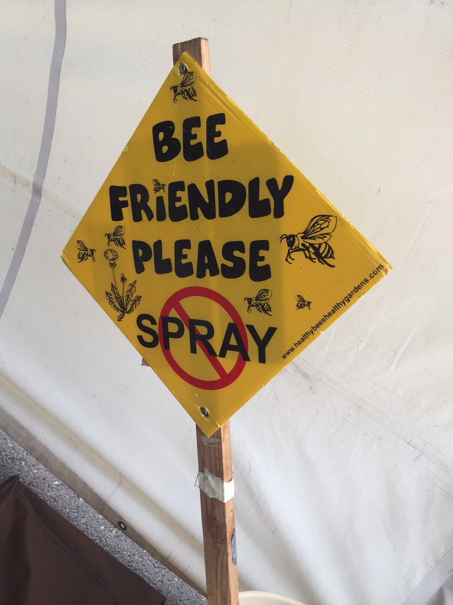 isabellaaliciaa's tweet photo. Glory Bee has sent people home with 900 bee kits this season! #beeweekend #j462event https://t.co/YZ4bcp0bTK