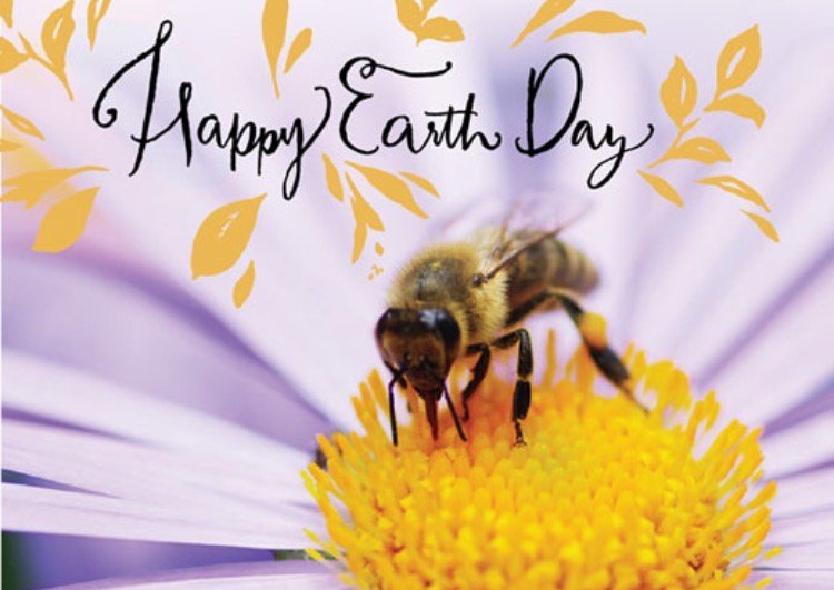 hypelocker's tweet image. Happy Earth Day! Remember to support honey bees for the delicious food that they pollinate. &amp;lt;3 #SupportYourLocalHoneyBee #EarthDay #HoneyBee