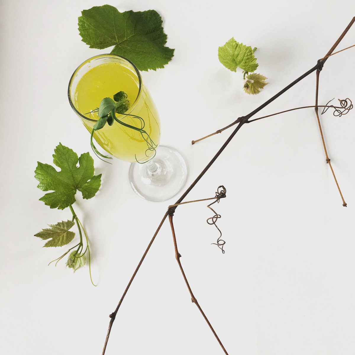 🌱 Earth!  #HAPPYEARTHDAY Sippin' wine until 11 tonight!