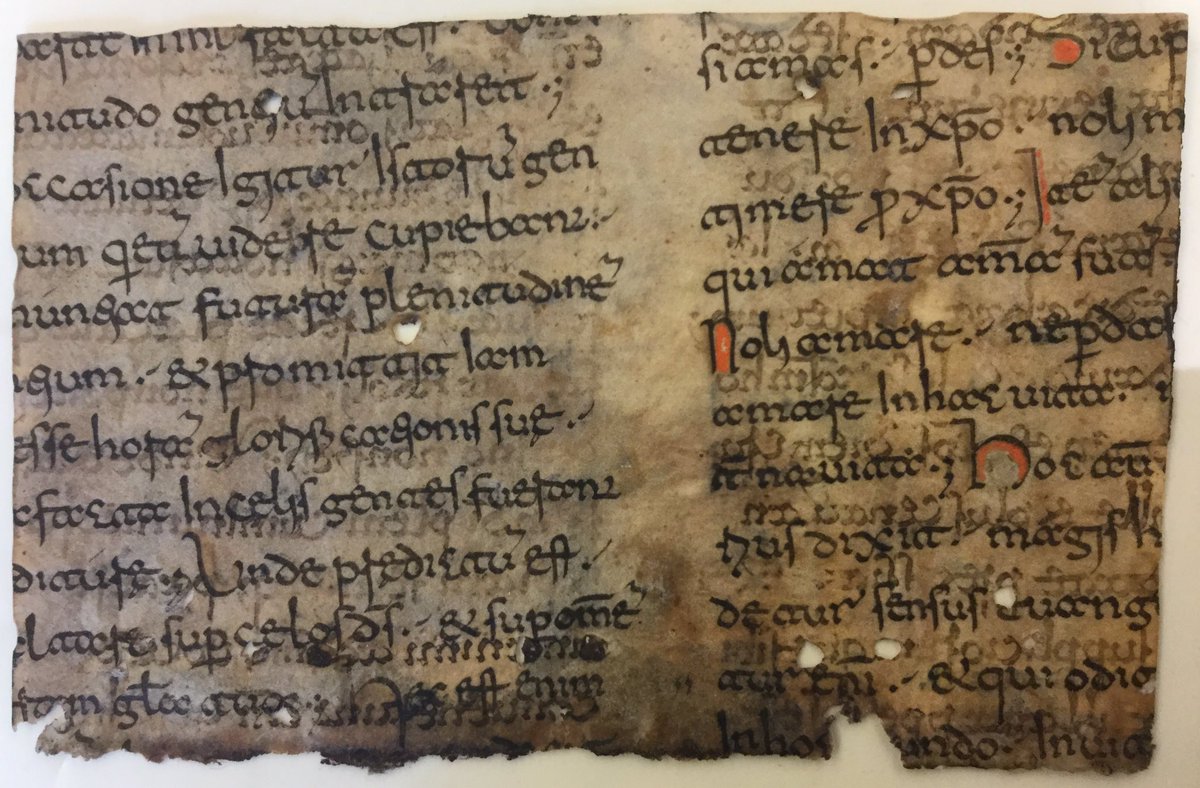 Augustine's Tractates on the Gospel of John, Beneventan manuscript, ca. 1075. #OSURBML #AAISCSIS #bindingfragments #MSSfragments