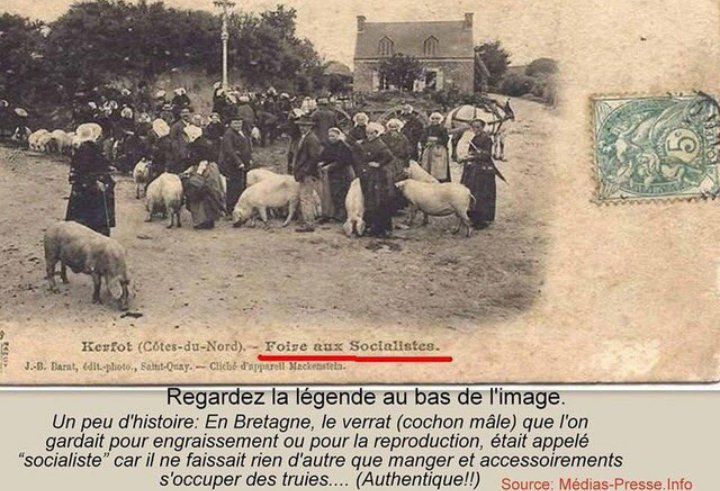 Coucou la #Hollandie 🤔. ...un peu trop de socialiste passé, présent et futur dans cette #Presidentielle2017 ...#jevotefillon sans hésiter 👌