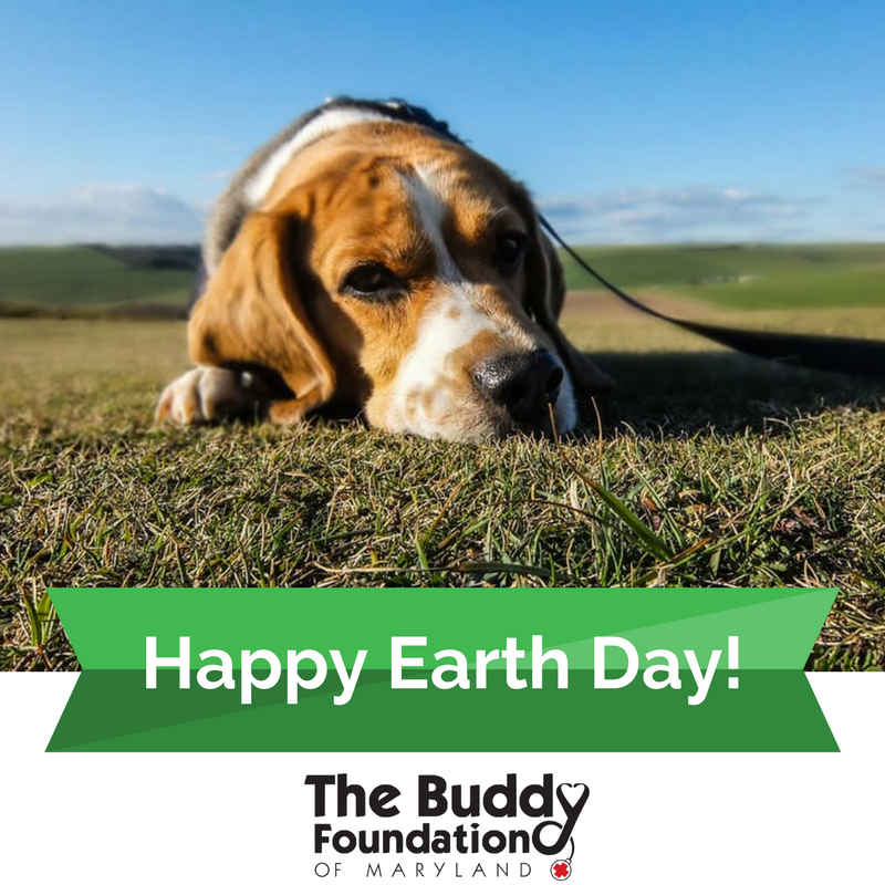 Happy #EarthDay! Let’s celebrate together and enjoy the fresh air. Tweet us a picture of your fluffy friend enjoying the great outdoors!