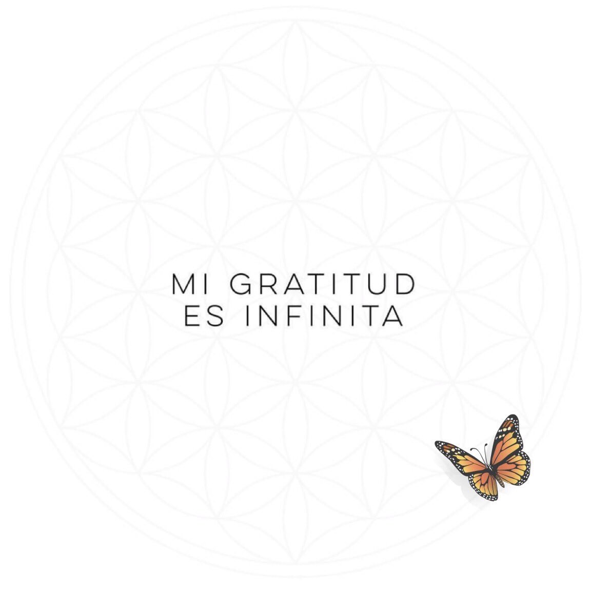 PatyBosch's tweet image. Una afirmación para la mente y el corazón, te invito a repetirla por lo menos 200 veces este día,  ¿te atreves?

#reprogrAMAR  #bienestar