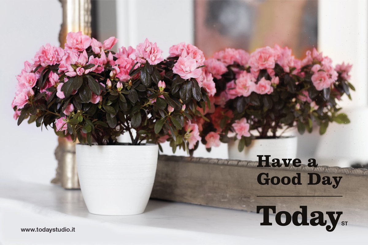 TodayStudioIT's tweet image. Have a good day... Today with @ScagliottiElena and @riccardolorenzi !