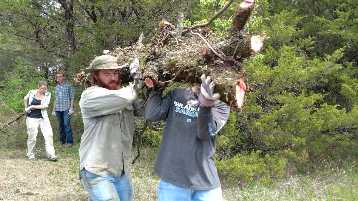 ScienceCedes's tweet image. Happy #EarthDay! We restored a native prairie today &amp;amp; I couldn't be happier about it🤗Thank you all for coming out! #ConserVANtion #community
