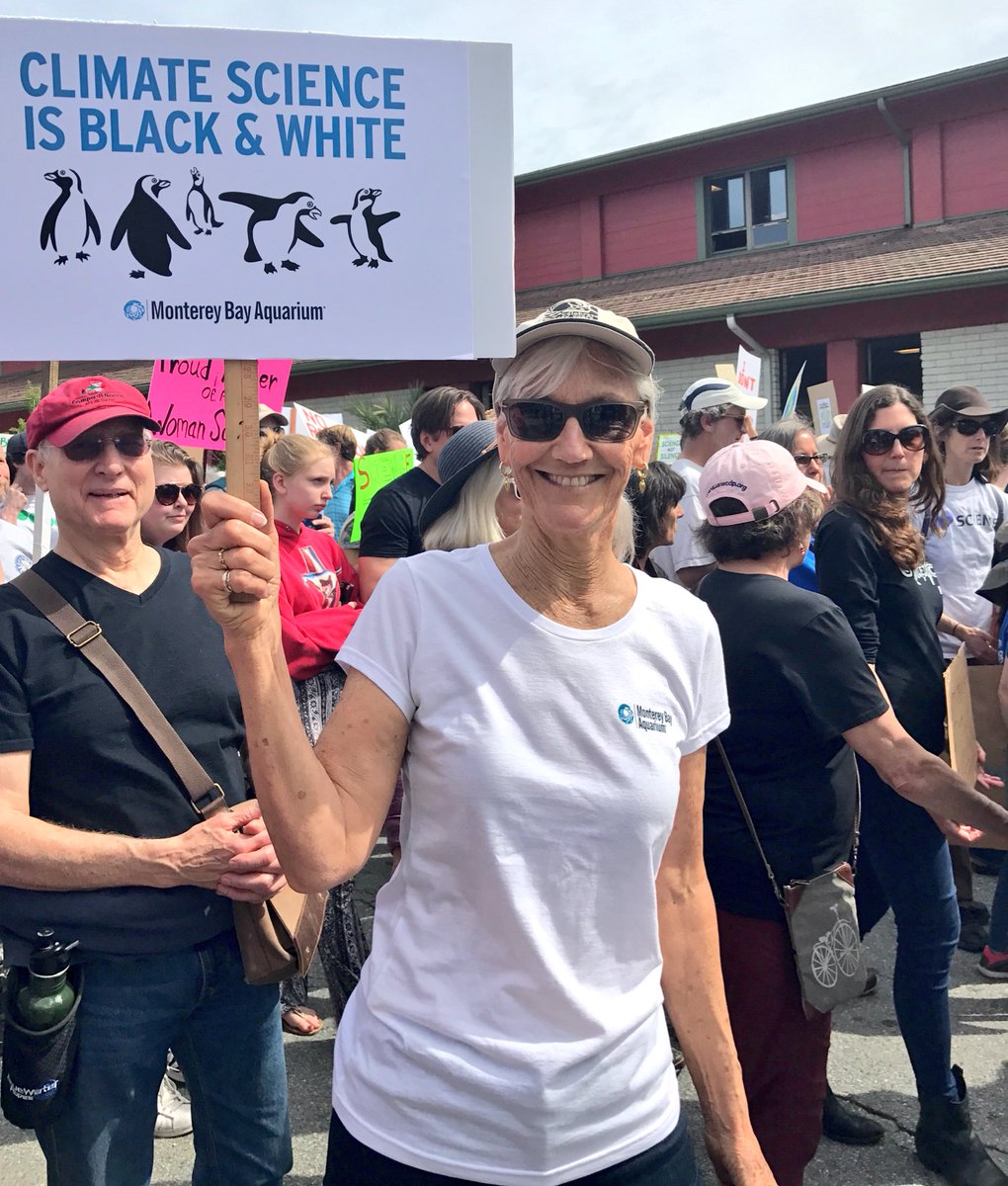 MontereyAq's tweet image. Our director, Julie Packard is @ScienceMarchSCZ with fellow science enthusiasts! #MarchForScience